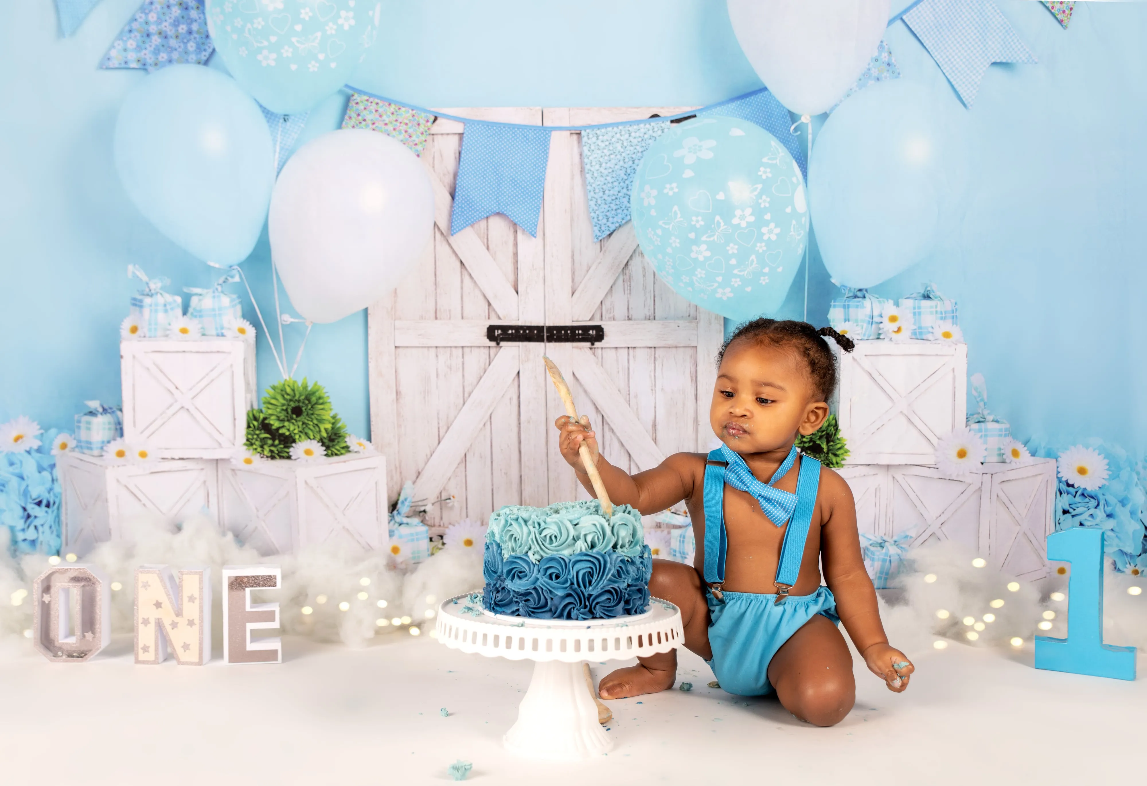 1st birthday cake smash session