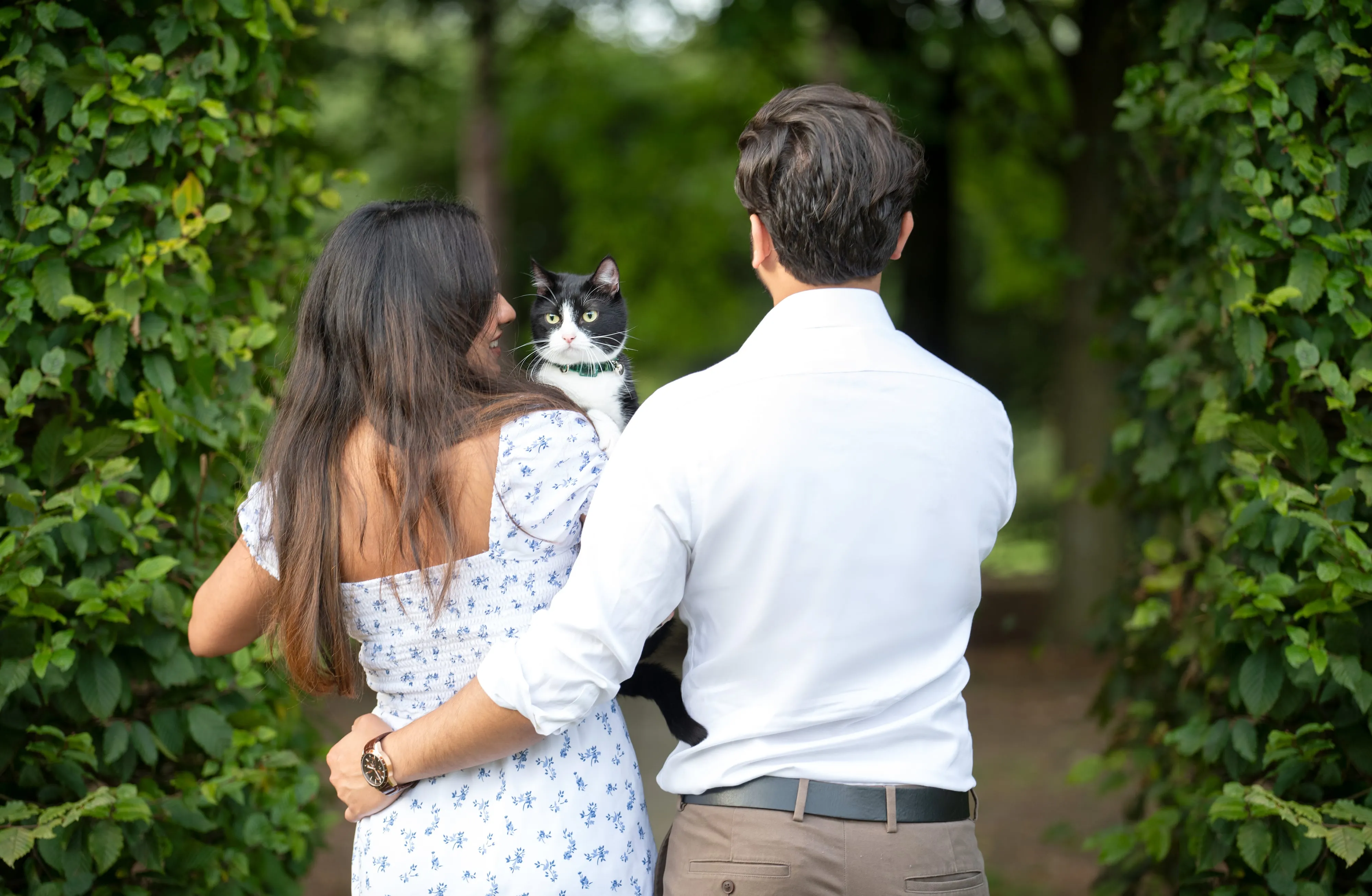 Young couple with their black-and-white cat among tall ivy-clad hedge pillars in formal parkland