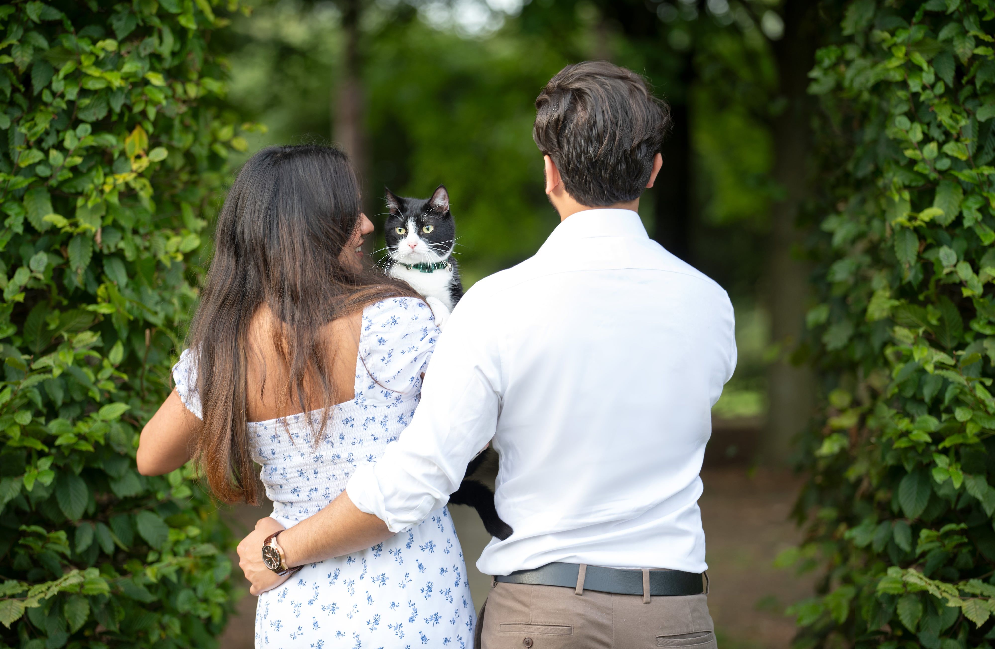 Young couple with their black-and-white cat among tall ivy-clad hedge pillars in formal parkland