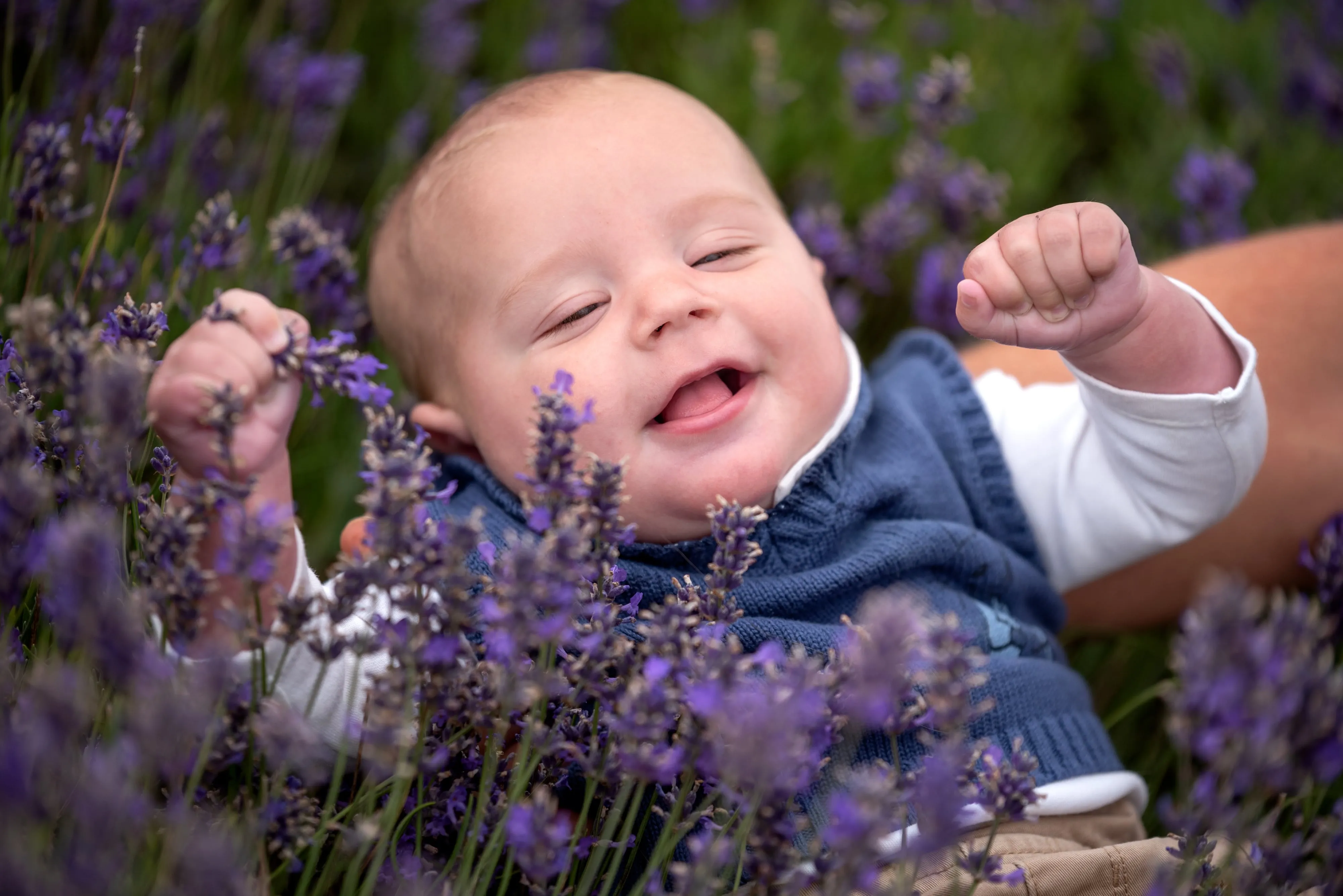 Smiling baby in blue jumper in lavender field