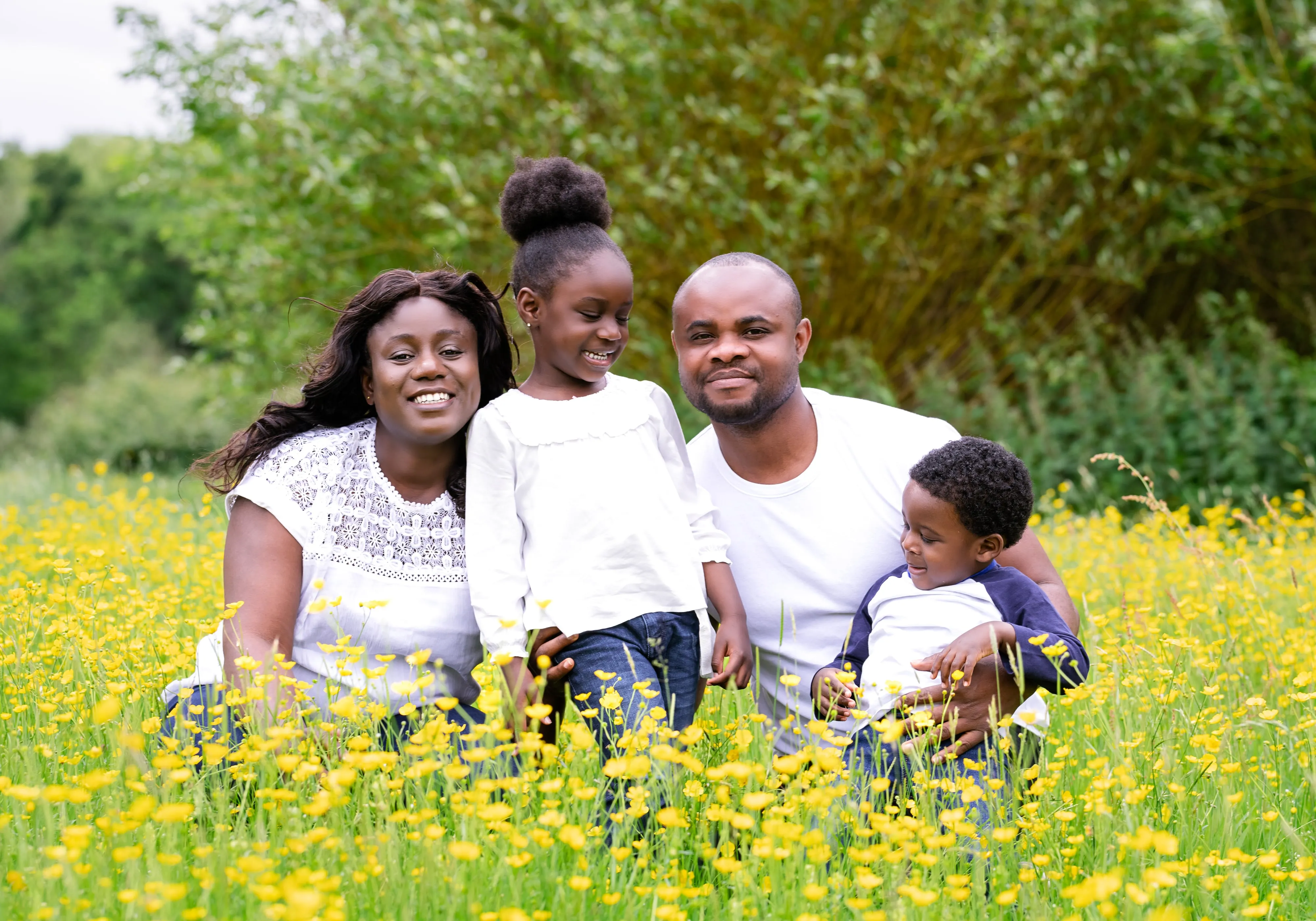 Family of four hidden among waist-high buttercup meadow blooms in matching white and denim, joyful candid smiles